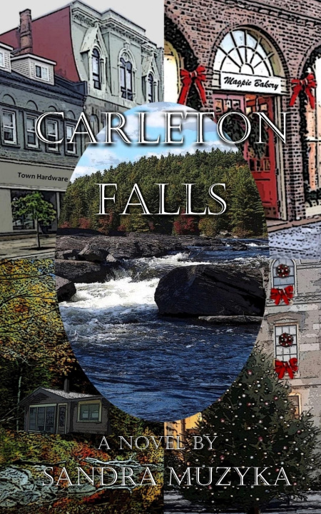 Knjiga Carleton Falls Sandra Muzyka
