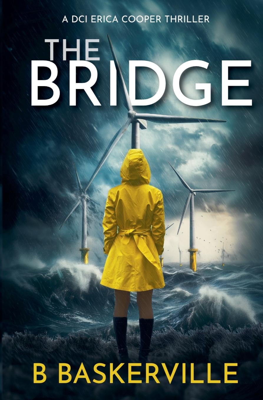 Book The Bridge B Baskerville