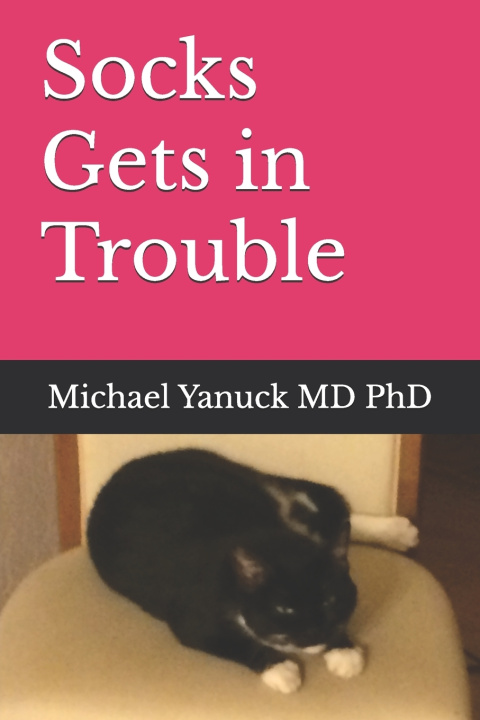 Книга Socks Gets in Trouble Michael Yanuck
