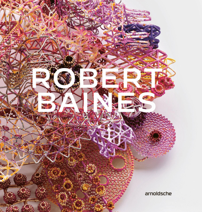 Kniha Robert Baines Dr. Nicholas Bastin