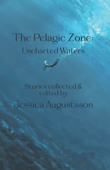 Knjiga The Pelagic Zone Stephen A Roddewig