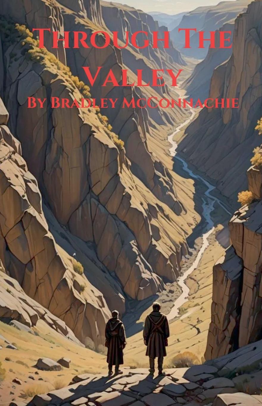 Knjiga Through The Valley Bradley McConnachie