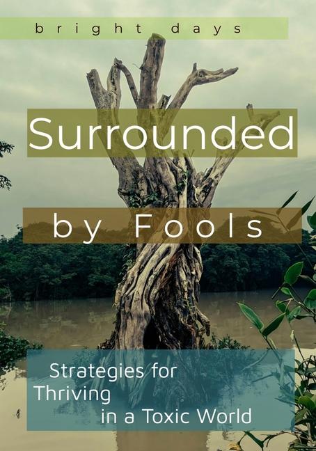 Könyv Surrounded by Fools bright days