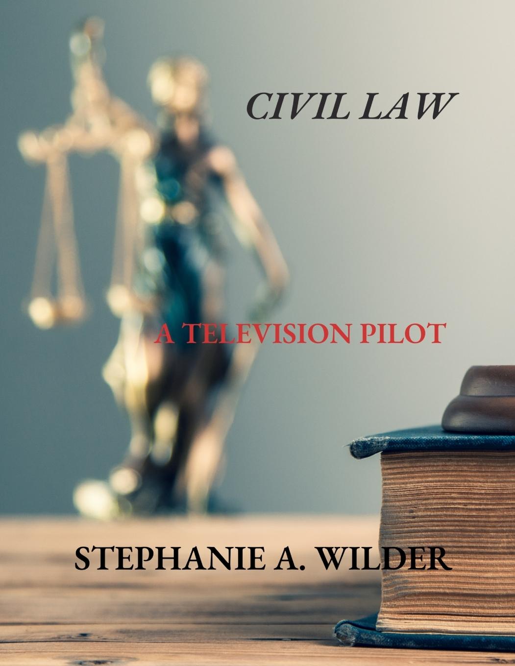Knjiga Civil Law Stephanie A. Wilder