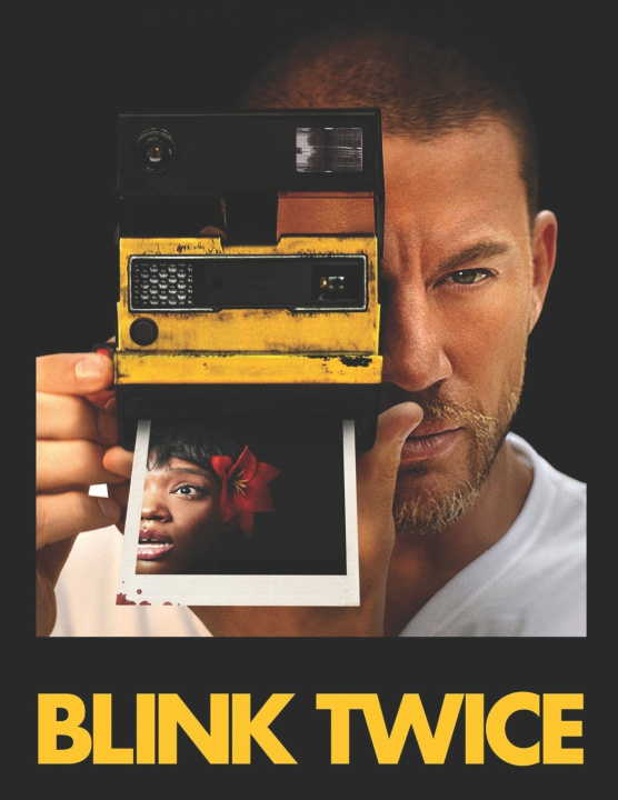 Knjiga Blink Twice James Stricker