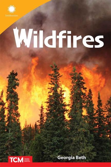 Knjiga Wildfires Beth