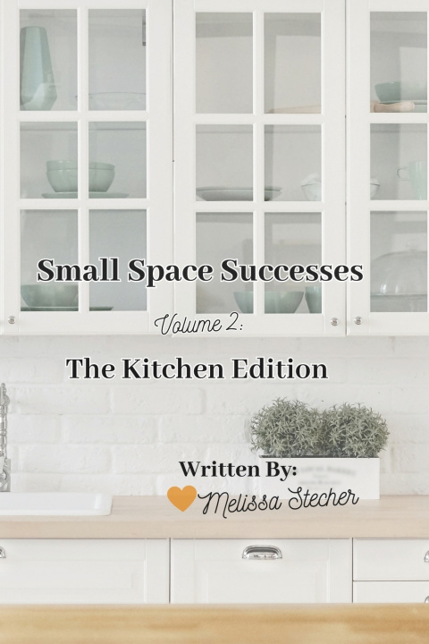 Knjiga Small Space Successes Melissa Stecher