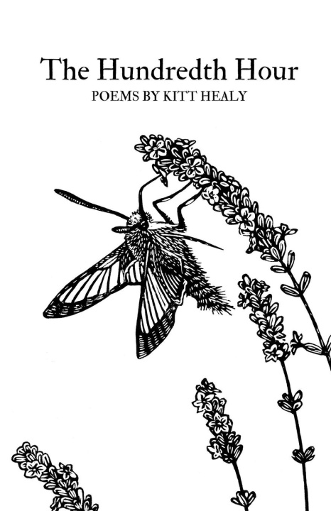 Knjiga The Hundredth Hour Kitt Healy