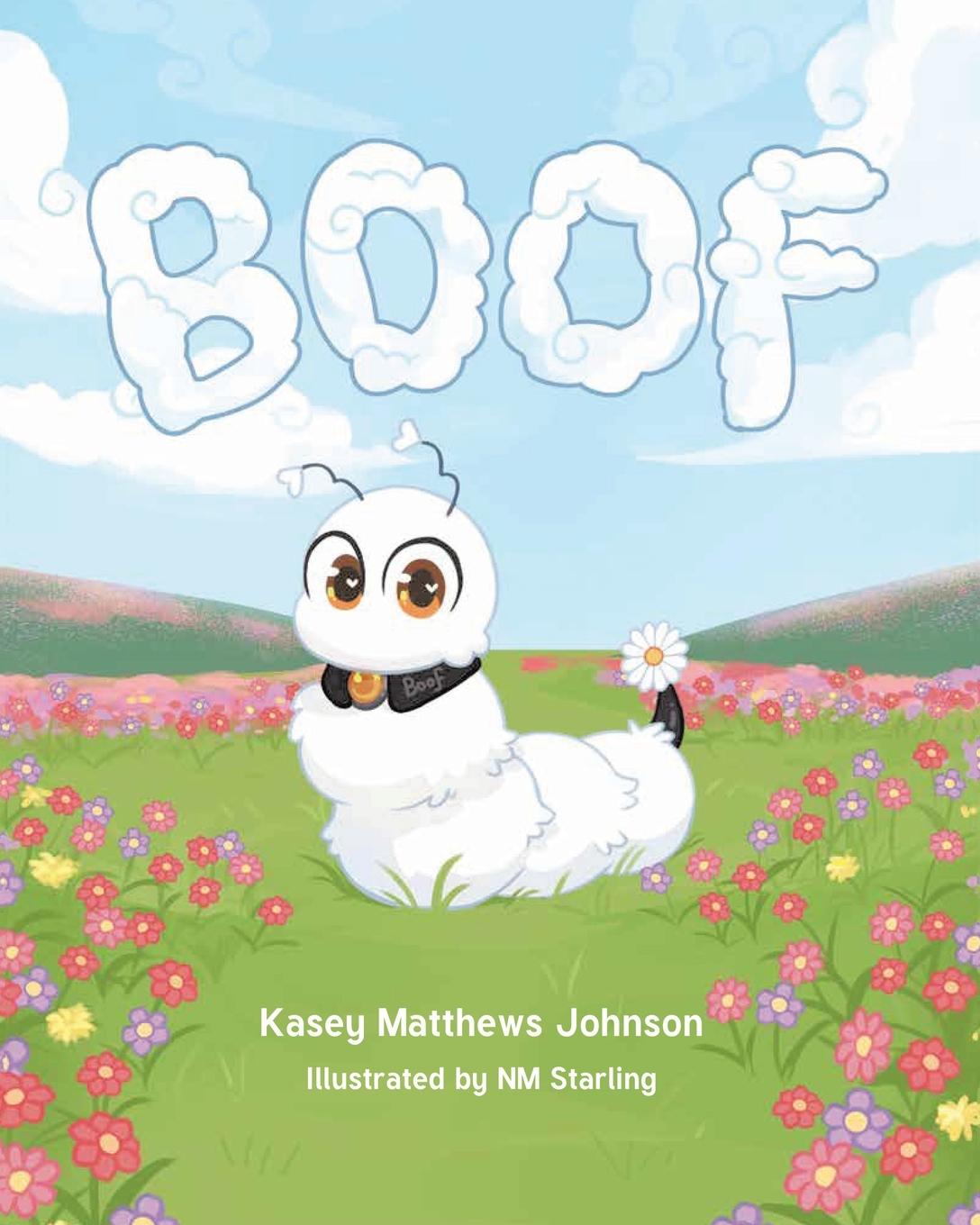 Knjiga BOOF Kasey Matthews Johnson