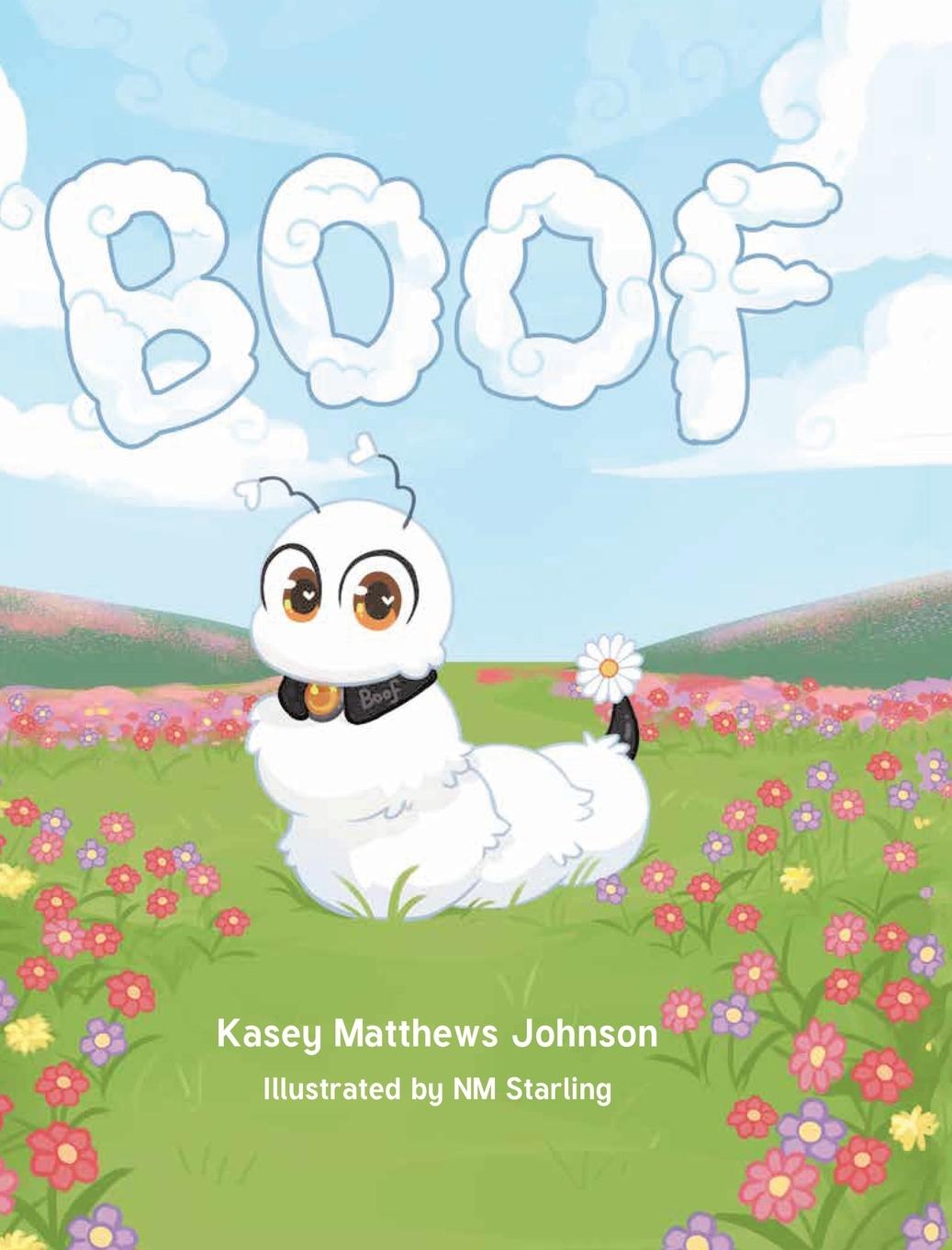 Knjiga BOOF Kasey Matthews Johnson