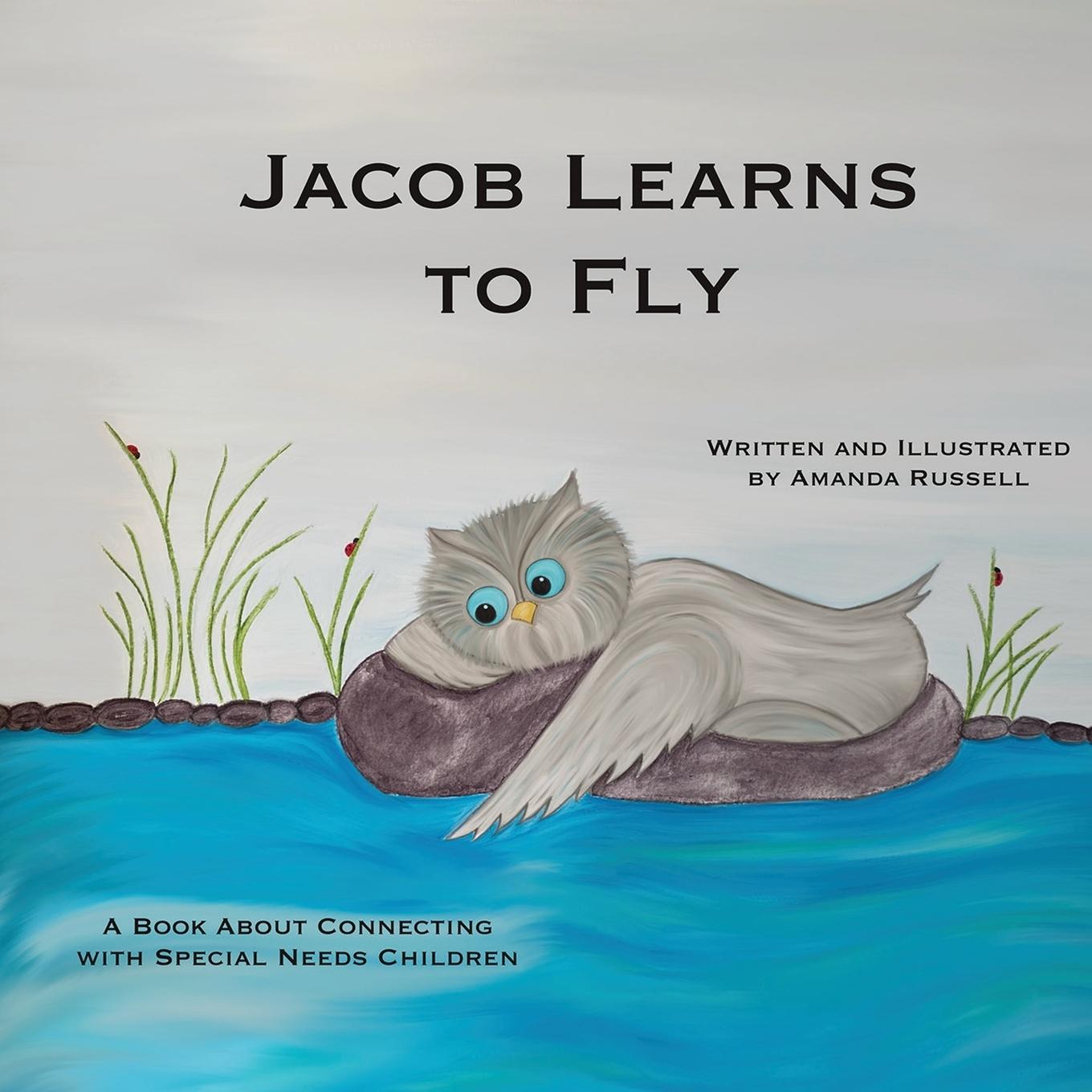 Buch Jacob Learns To Fly Amanda J Russell