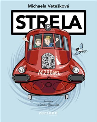 Buch Strela Michaela Vetešková