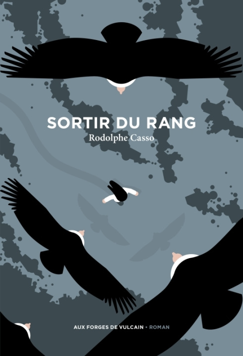Knjiga Sortir du rang Rodolphe Casso