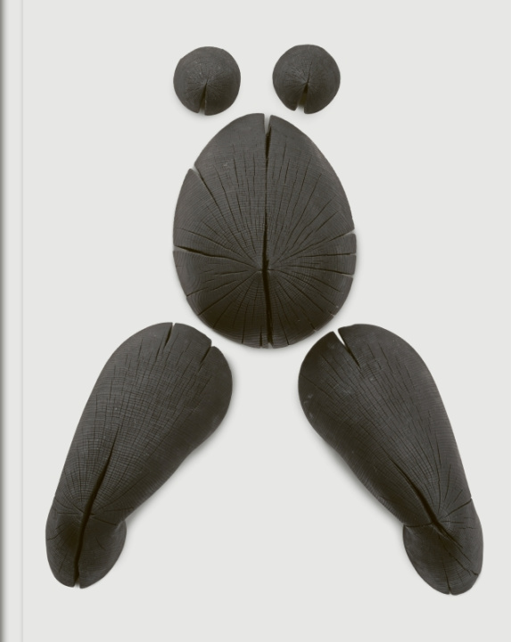 Knjiga Corpus Prune Nourry