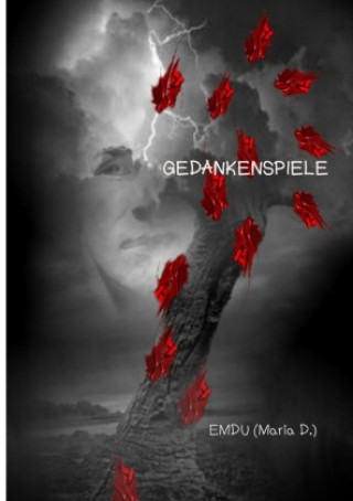Knjiga Gedankenspiele Maria Datzreiter