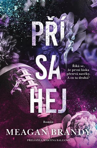 Livre Přísahej Meagan Brandy