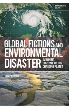 Global Fictions and Environmental Disaster