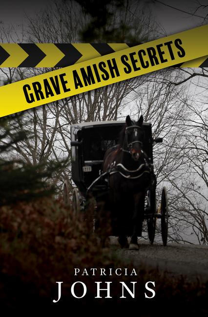 Knjiga Grave Amish Secrets 