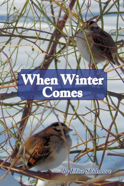 Knjiga When Winter Comes Elise Skidmore