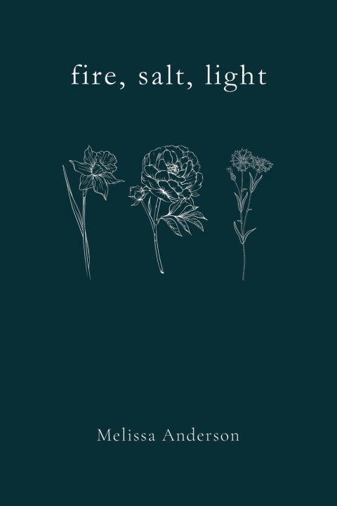 Boek fire, salt, light Melissa Anderson