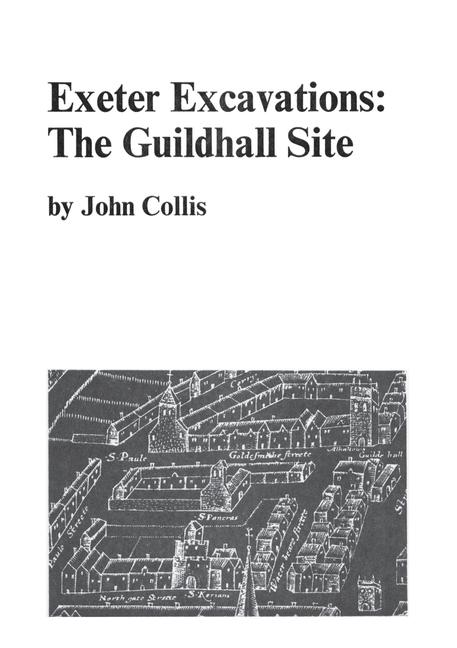 Knjiga Exeter Excavations John Collis