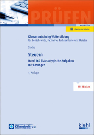 Knjiga Steuern Ines Stache