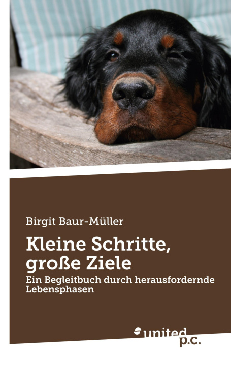 Knjiga Kleine Schritte, große Ziele Birgit Baur-Müller