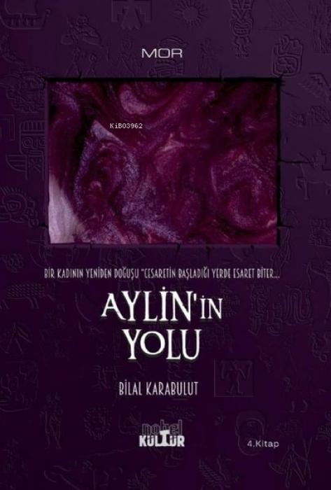 Book AylinIn Yolu 