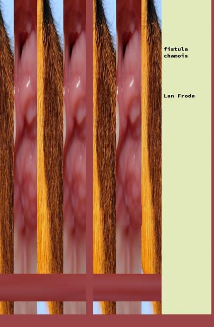 Knjiga Fistula Chamois Lan Frode