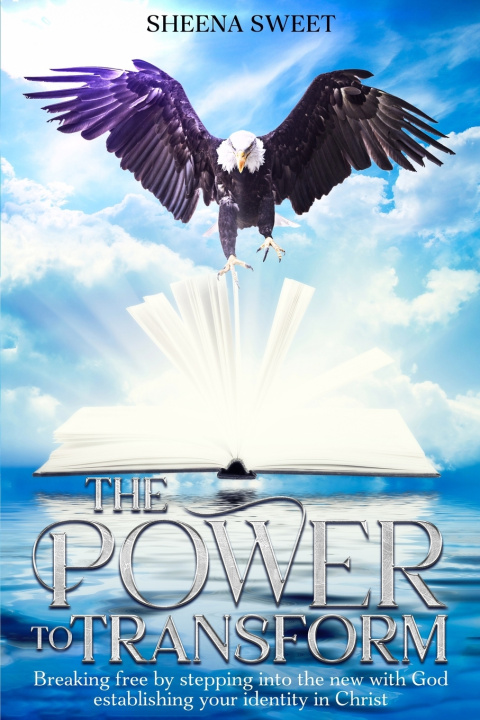 Buch The power to transform Sheena Sweet