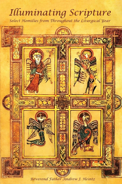 Knjiga Illuminating Scripture Father Andrew J. Heintz