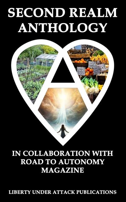 Book Second Realm Anthology Pat Henry