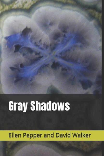 Knjiga Gray Shadows Ellen Pepper and David Walker