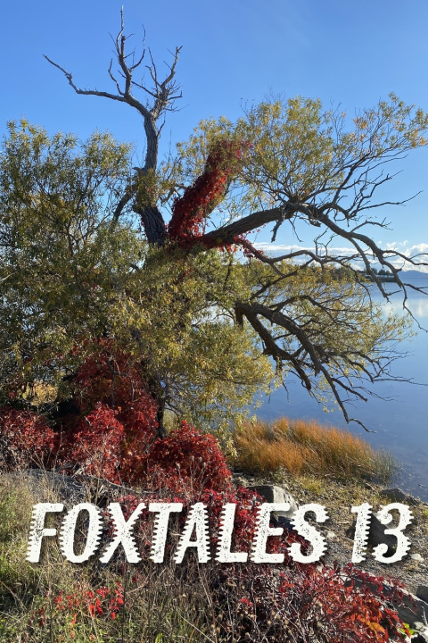 Knjiga Foxtales 13 Kyle Southern