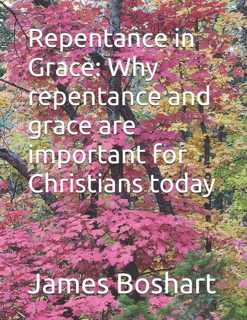 Knjiga Repentance in Grace James C. Boshart