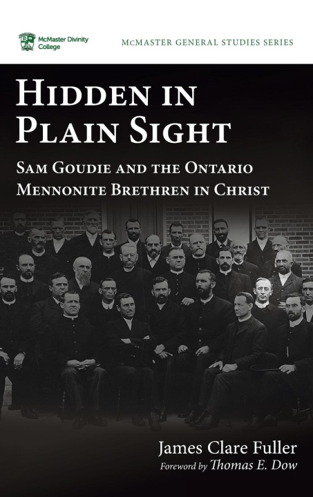 Knjiga Hidden in Plain Sight James Clare Fuller