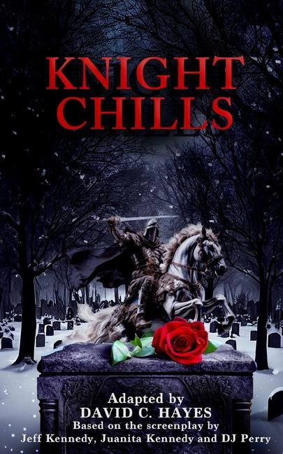 Book Knight Chills David C. Hayes