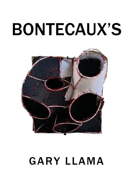 Knjiga Bontecaux's Gary Llama