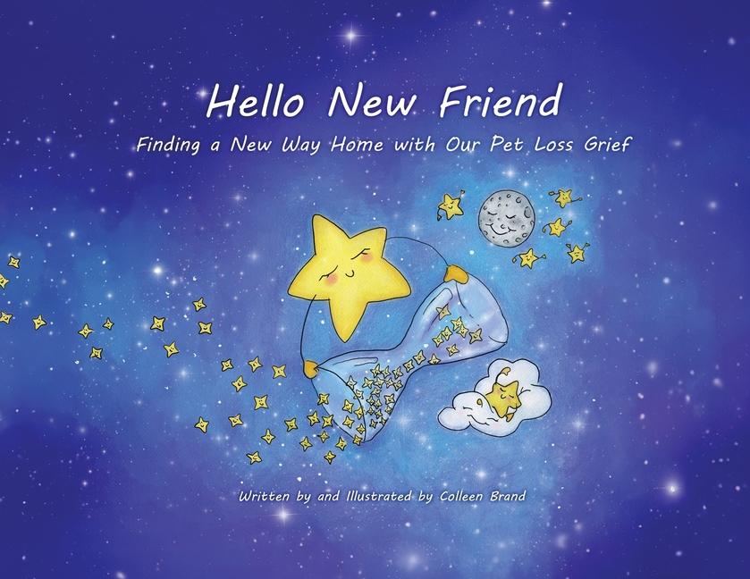 Knjiga Hello New Friend Colleen Brand