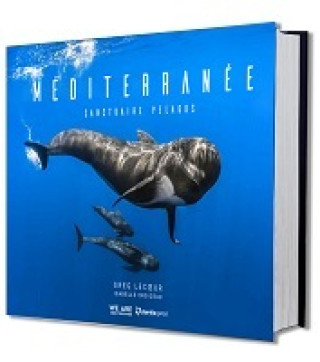 Book MEDITERRANEE GREG
