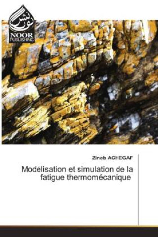 Knjiga Modélisation et simulation de la fatigue thermomécanique Zineb Achegaf