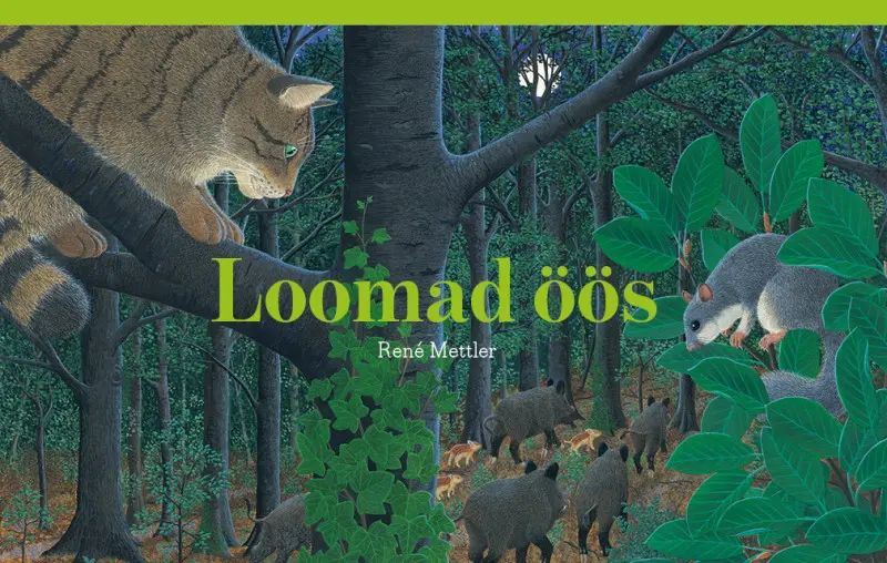 Buch Loomad öös Rene Mettler