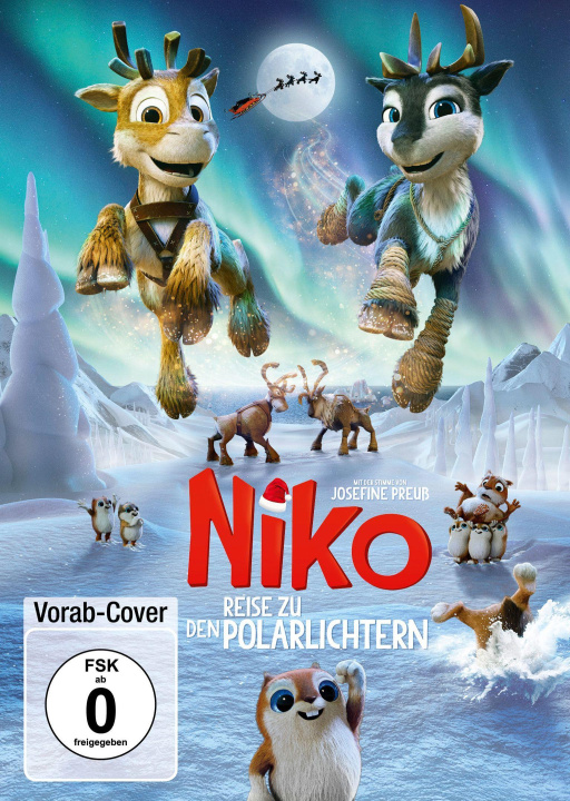 Video Niko - Reise zu den Polarlichtern 