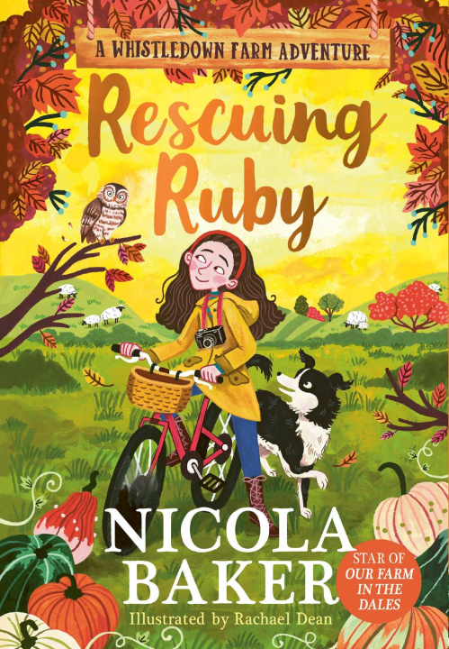 Knjiga Rescuing Ruby Nicola Baker