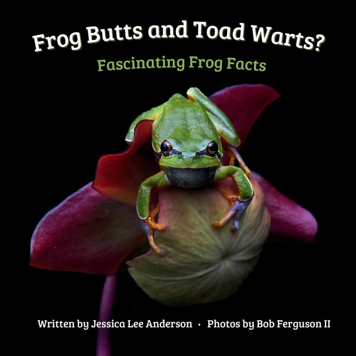Książka Frog Butts and Toad Warts? Fascinating Frog Facts Jessica Lee Anderson