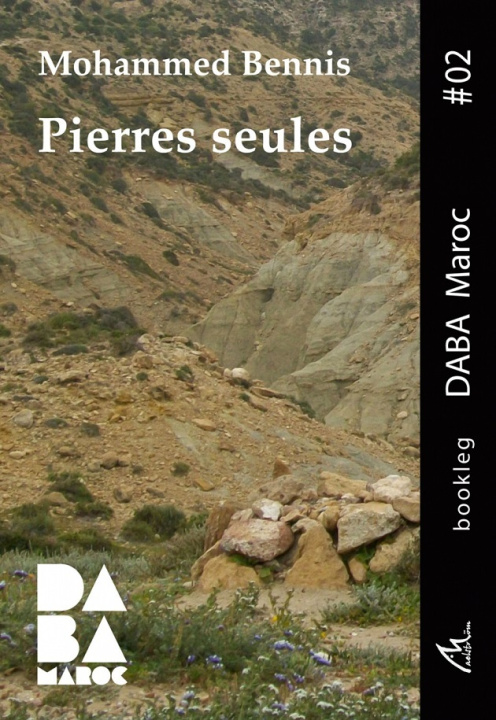 Buch Pierres seules Bennis