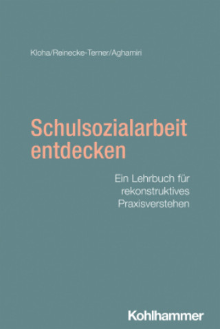 Βιβλίο Schulsozialarbeit entdecken Anja Reinecke-Terner