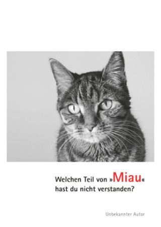 Carte Postkarten Katzen Miau Julia Bachstein