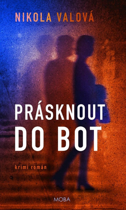 Könyv Prásknout do bot Nikola Valová
