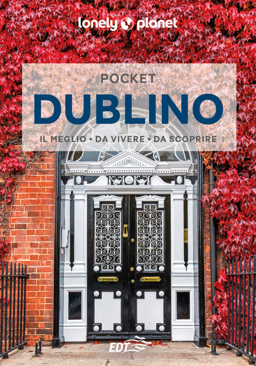 Libro Dublino 